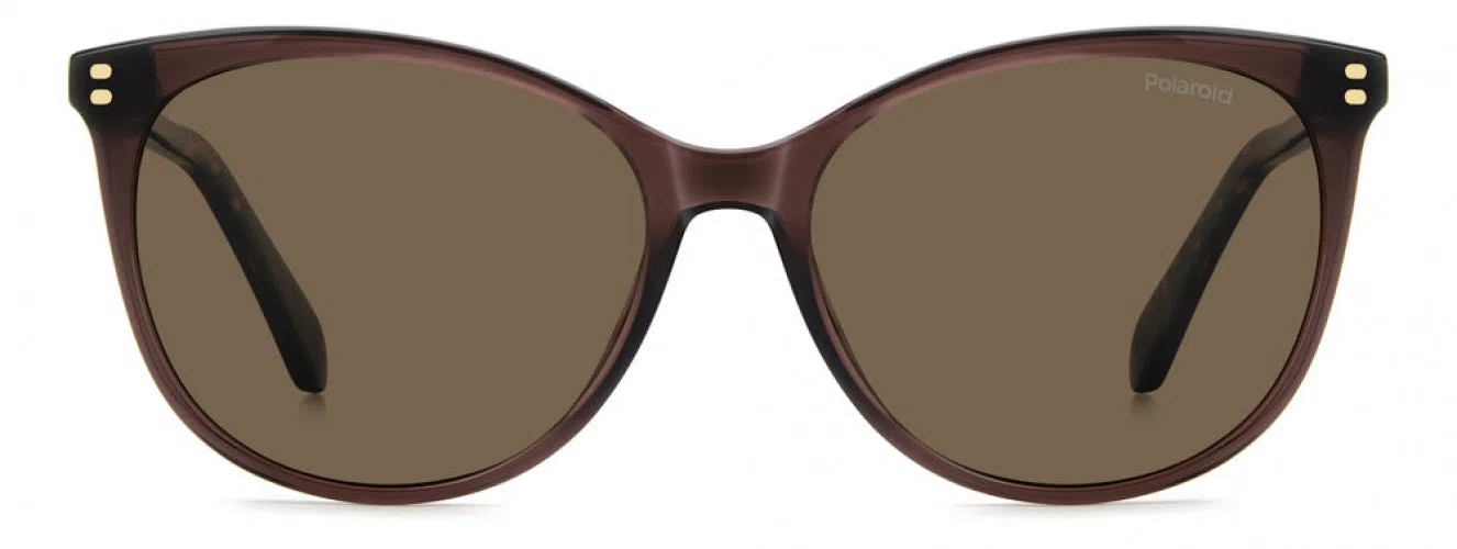 Polaroid Core PLD4200 Sunglasses - view 6